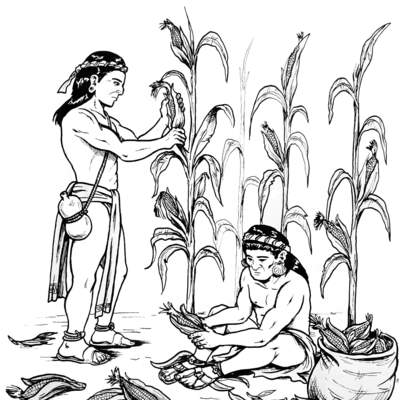 Agricultura maya