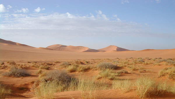 Desierto del Sahara