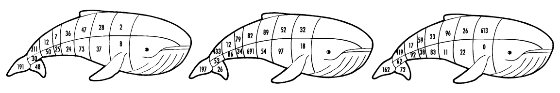 Ejemplo ballena números primos 1