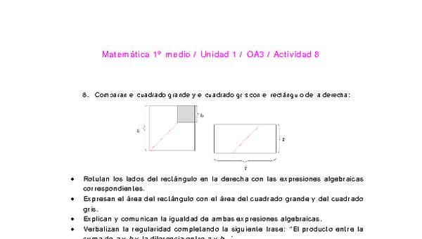 Matemática 1 medio-Unidad 1-OA3-Actividad 8