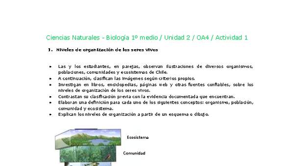 Ciencias Naturales 1 medio-Unidad 2-OA4-Actividad 1