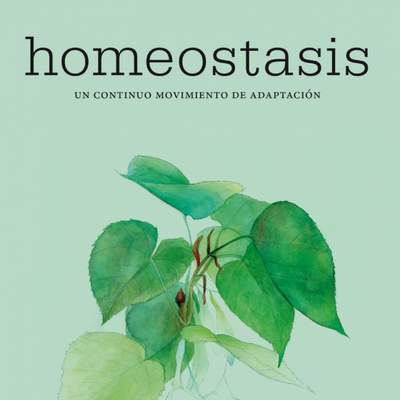 Homeostasis. Un continuo movimiento de adaptación