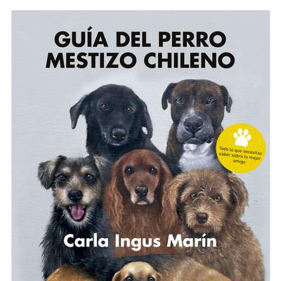 Guía del perro mestizo chileno
