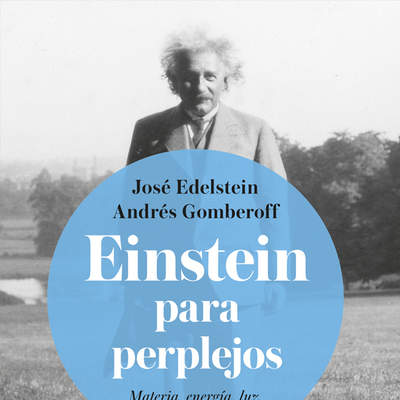 Einstein para perplejos
