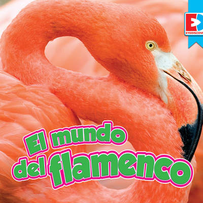 El mundo del flamenco