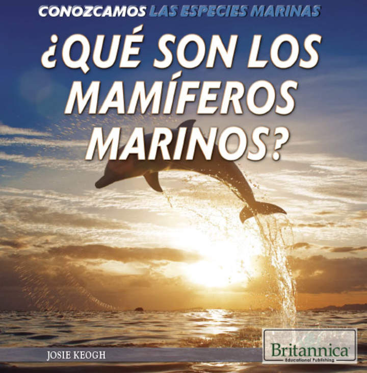 ¿Qué son los mamíferos marinos? (What Are Sea Mammals?)