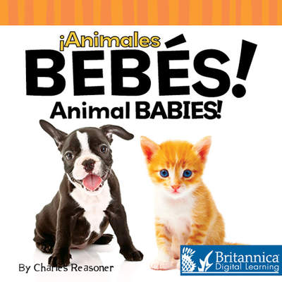 Animales bebés (Animal Babies)