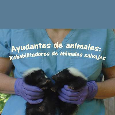Ayudantes de animales: Rehabilitadores de animales salvajes
