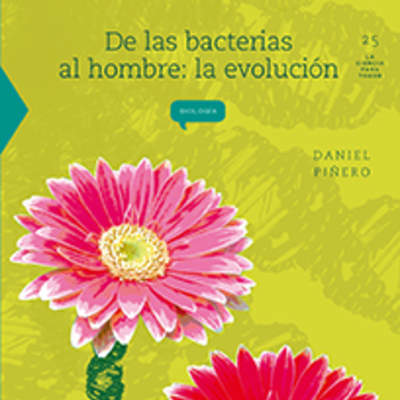 De las bacterias al hombre: la evolución