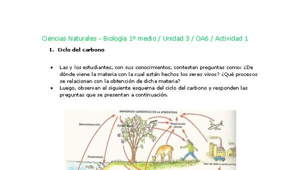 Ciencias Naturales 1 medio-Unidad 3-OA6-Actividad 1