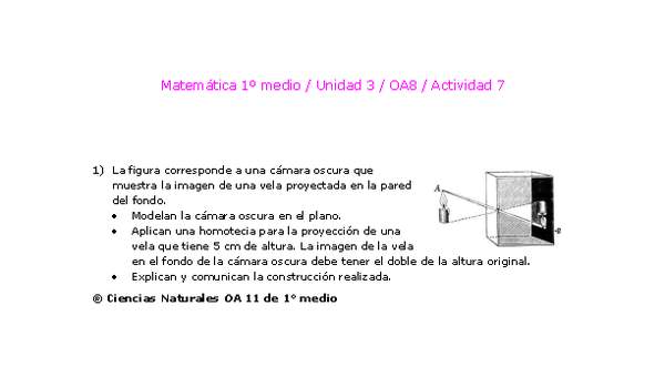 Matemática 1 medio-Unidad 3-OA8-Actividad 7