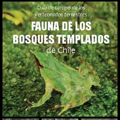 Guía de campo de los vertebrados terrestres. Fauna de los bosques templados de Chile