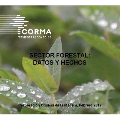 Sector forestal datos y hechos