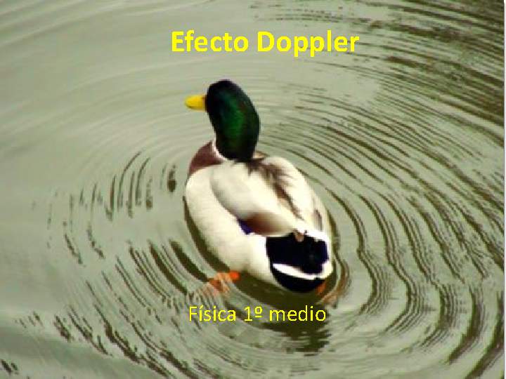 Presentación Efecto Doppler