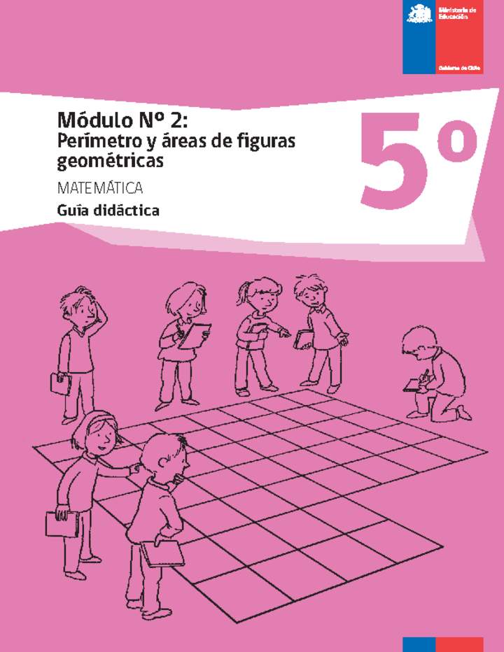 Guía didáctica: Módulo Nº 2. Perímetro y áreas de figuras geométricas