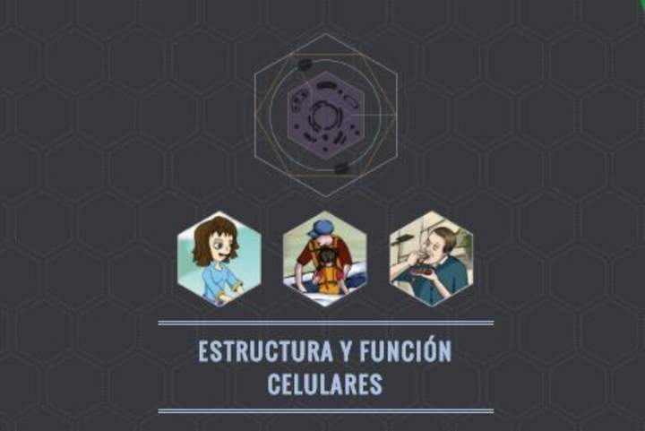 Estructura y función celulares