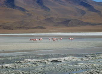 Imagen del altiplano en Chile