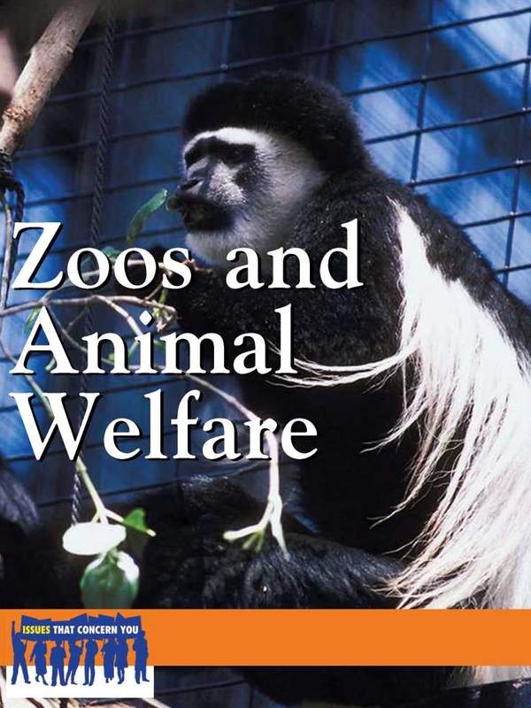 Zoos And Animal Welfare