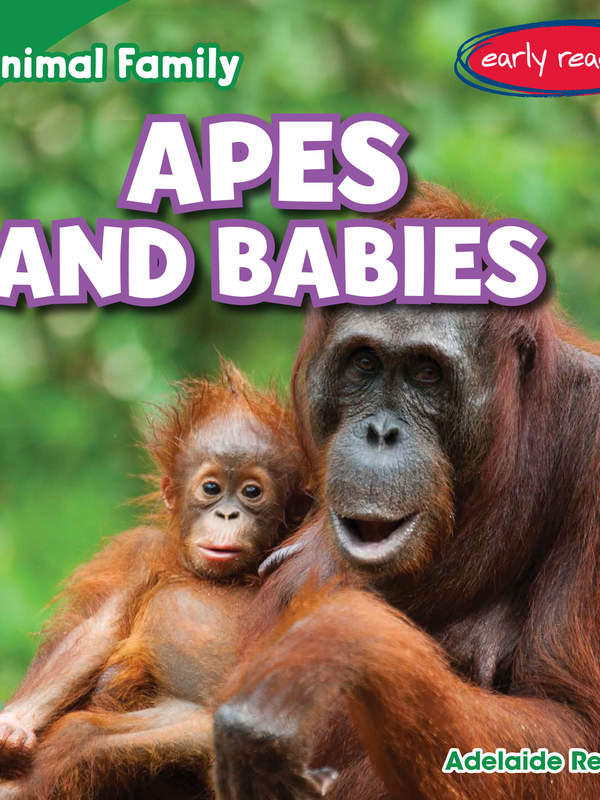 Apes and Babies