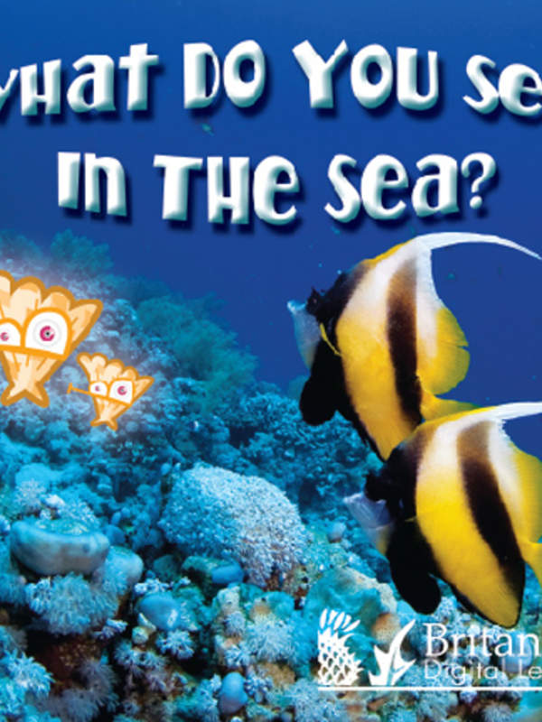 What Do You See in the Sea?