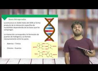 Biología - Material Genético - Clase N°6 2019