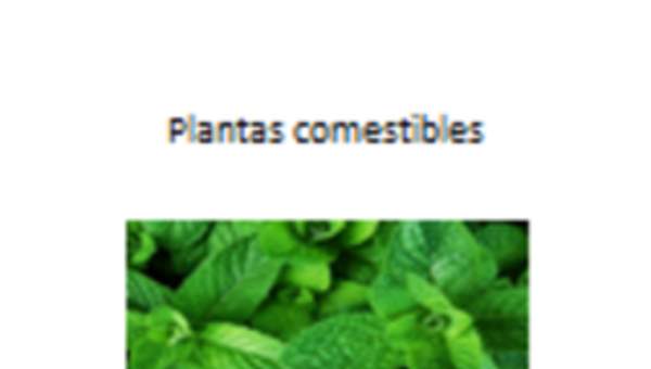 Plantas comestibles