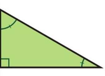Triángulo rectángulo o recto