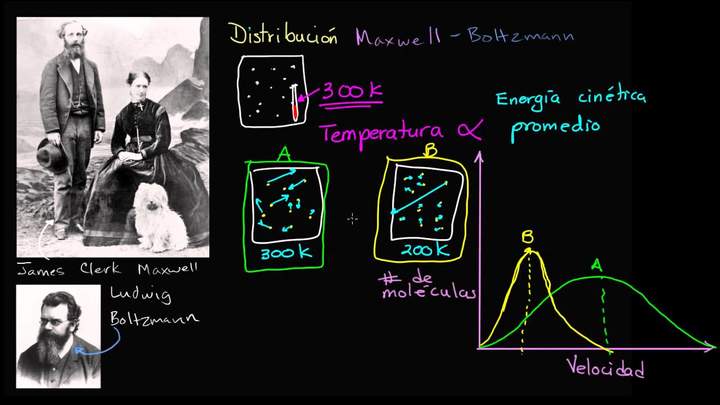Distribución Maxwell Boltzmann | Termodinámica | Física | Khan Academy en Español