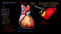 ¿Qué es el síndrome coronario agudo?