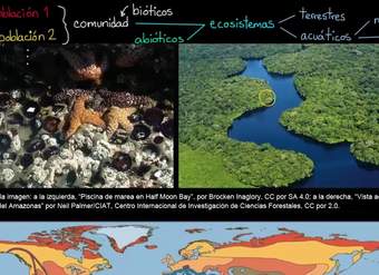 Ecosistemas y biomas | Ecología | Biología | Khan Academy en Español