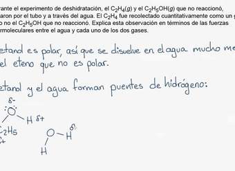 2015 Respuesta libre AP Química 2 f | Química | Khan Academy en Español