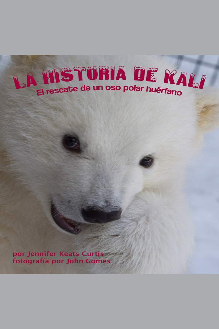 La historia de Kali: El rescate de un oso polar huérfano